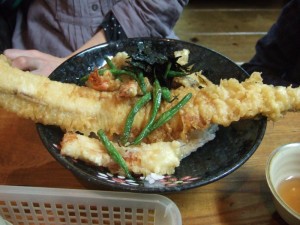 2011_0328_135801 (Custom)