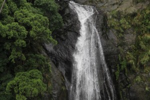 2011-07-21 14-17-07 (Custom)